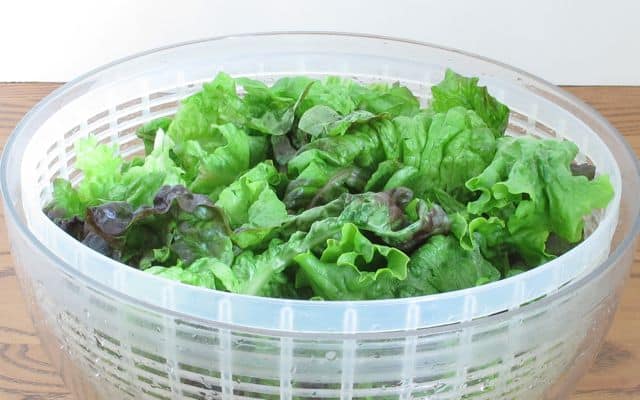 Lettuce – Salad staple do’s and don’ts