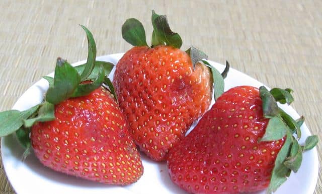 strawberries, fruit, choose berries