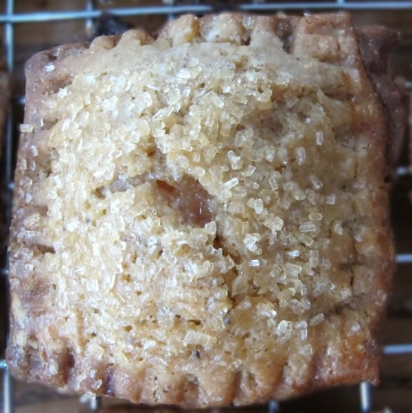 Brown Butter Spiced Plum Hand Tarts