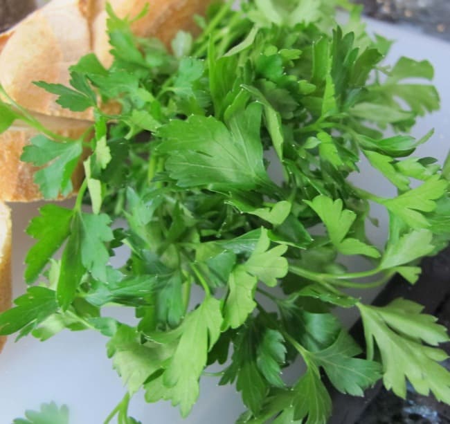 Italian or flat leaf parsley for bruschetta