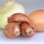 Onion alternatives - shallots and vidalia onion with yellow onion