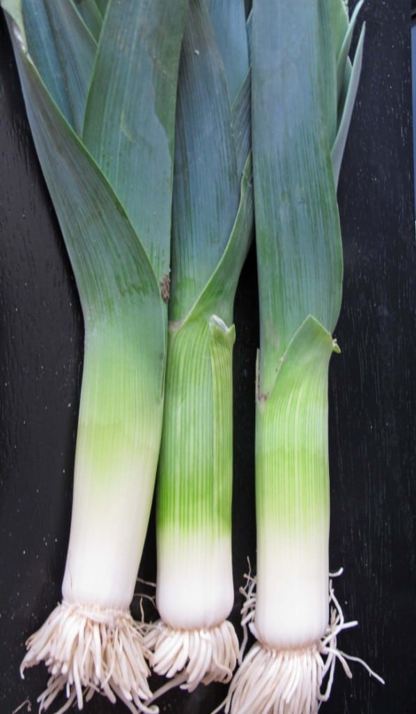 Have You Ever Cooked Leeks?