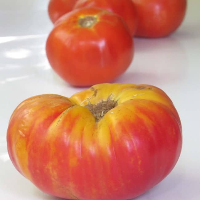 What are Heirloom Tomatoes and Why the Fuss?