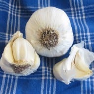 10 Facts You Ought to Know About Garlic – Part 1