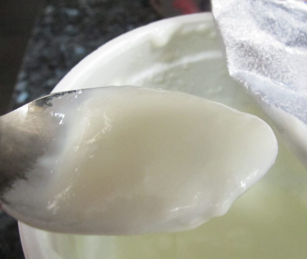 spoonful of homemade yogurt