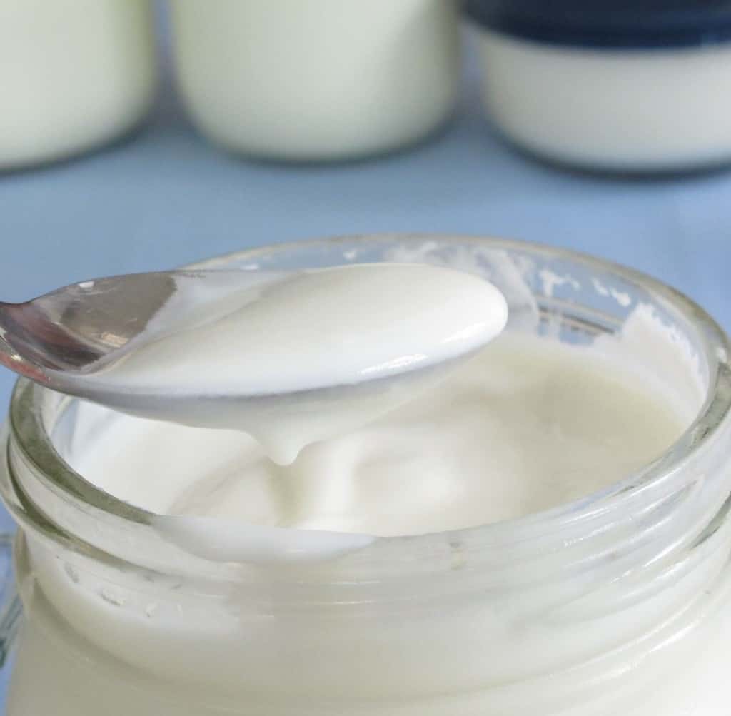 How to Make Homemade Yogurt