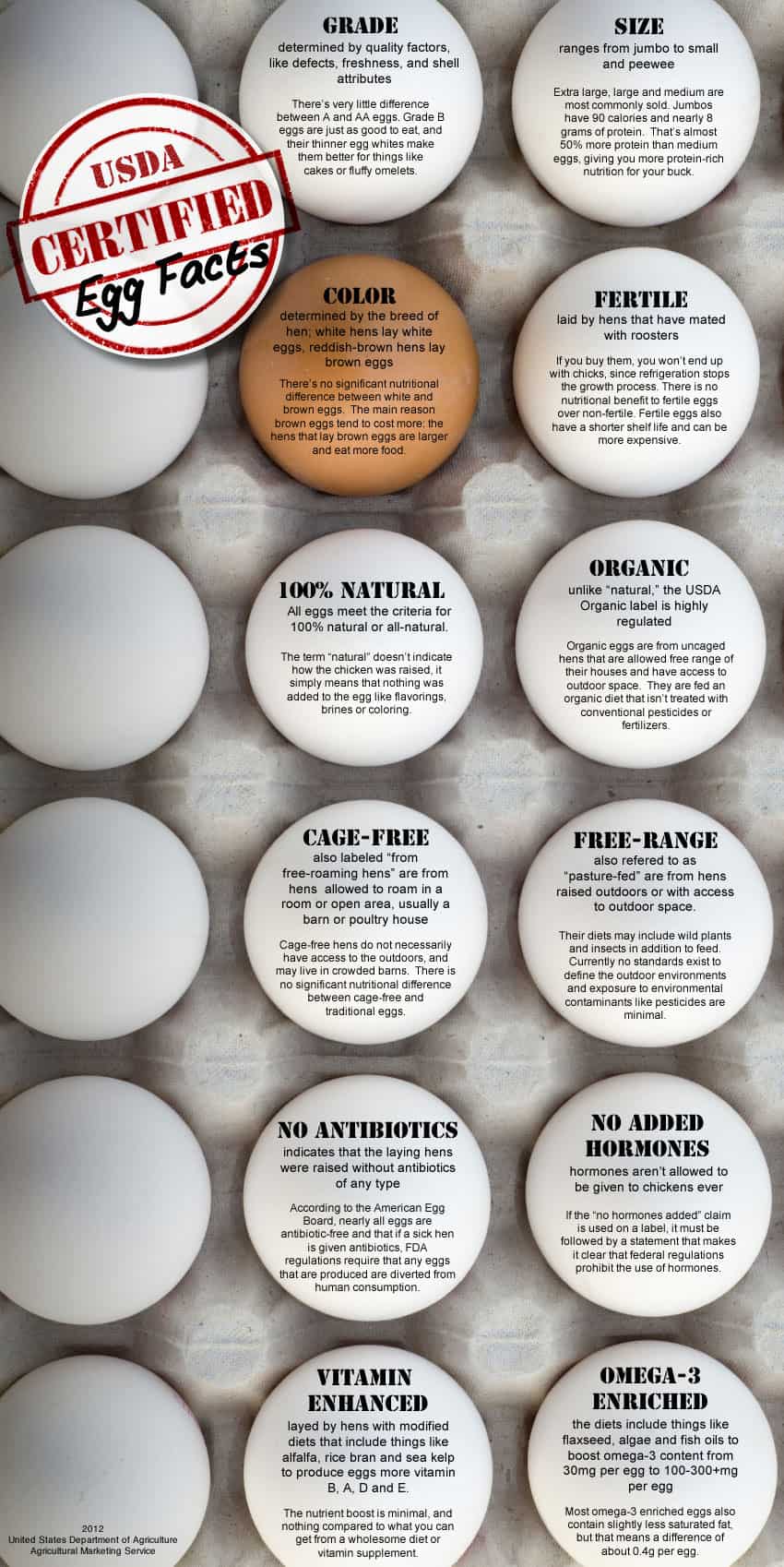 USDA facts about eggs. http://blogs.usda.gov/2012/04/06/eggstra-eggstra-learn-all-about-them/ | Mother Would Know