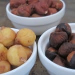 Hazelnuts - raw, skinned, & toasted before skinning