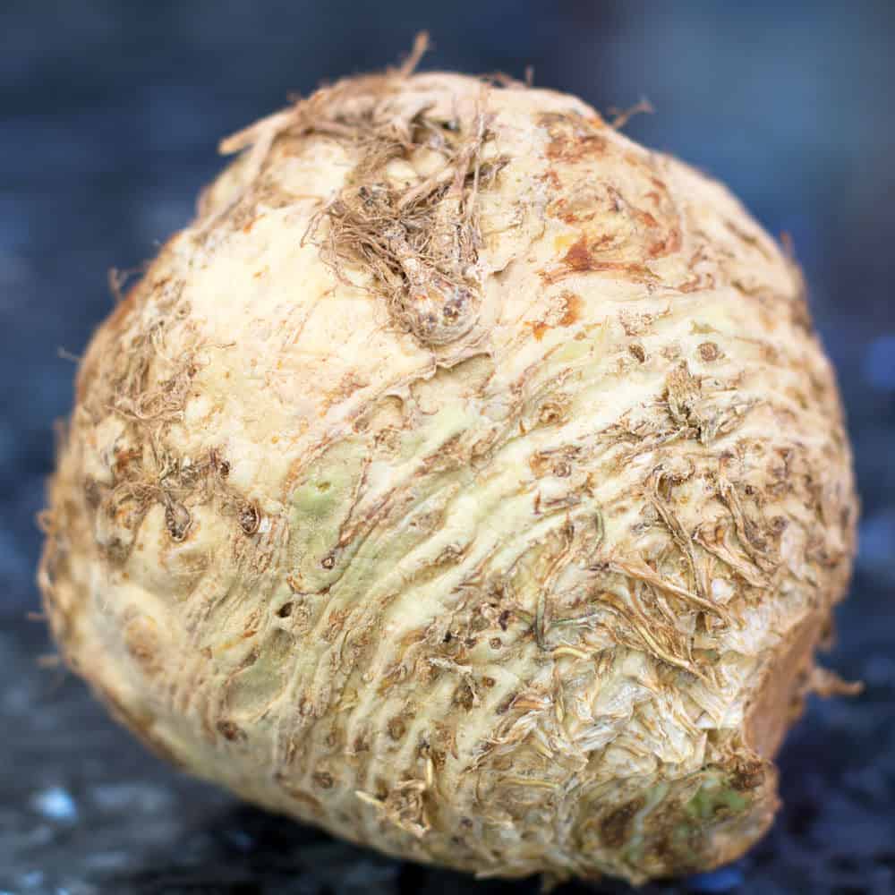 Celeriac or celery root in its natural state.