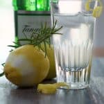 Lemon Rosemary Shrub | Mother Would Know