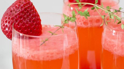 bellini-closeup-sq-IMG_0541-w-