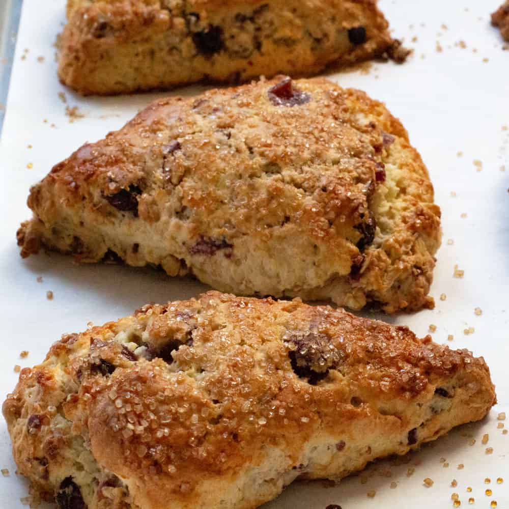 easy dried cranberry oat scones on pan after baking