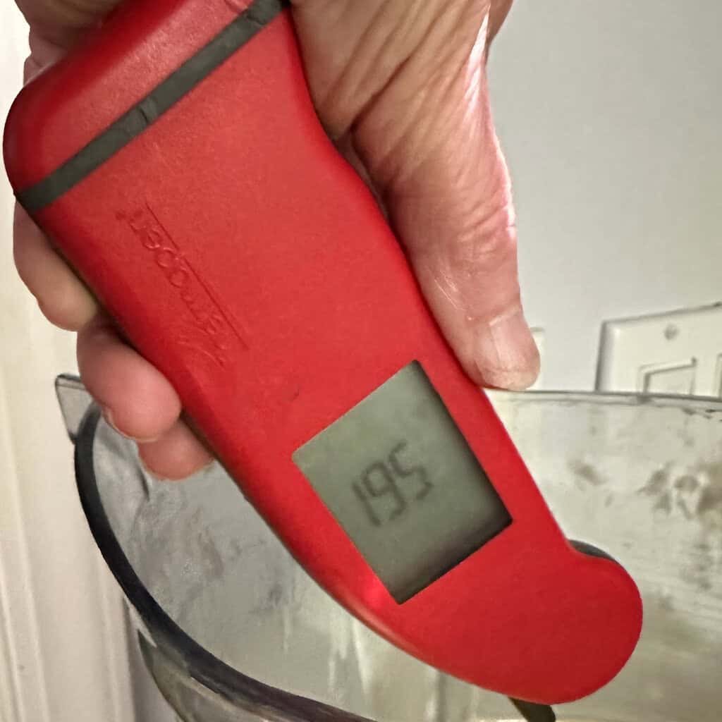 Taking the temperature of the simple and easy lemon curd in the Vitamix blender with an instant read thermometer